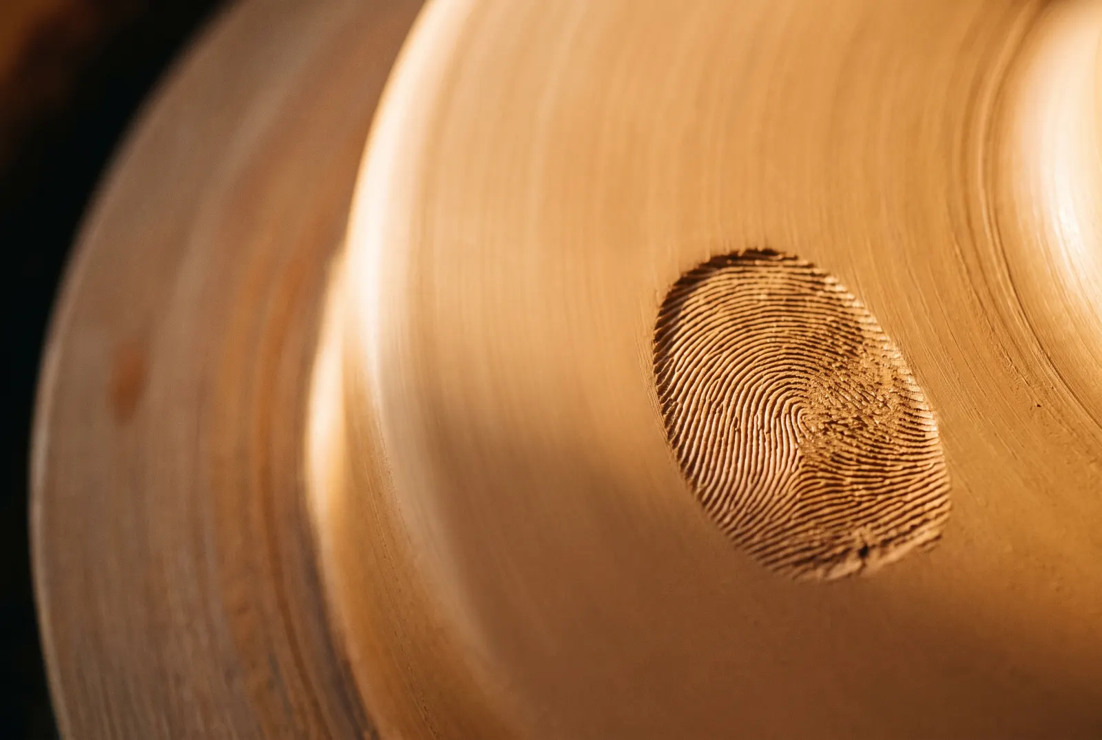 A fingerprint pressed into wet clay